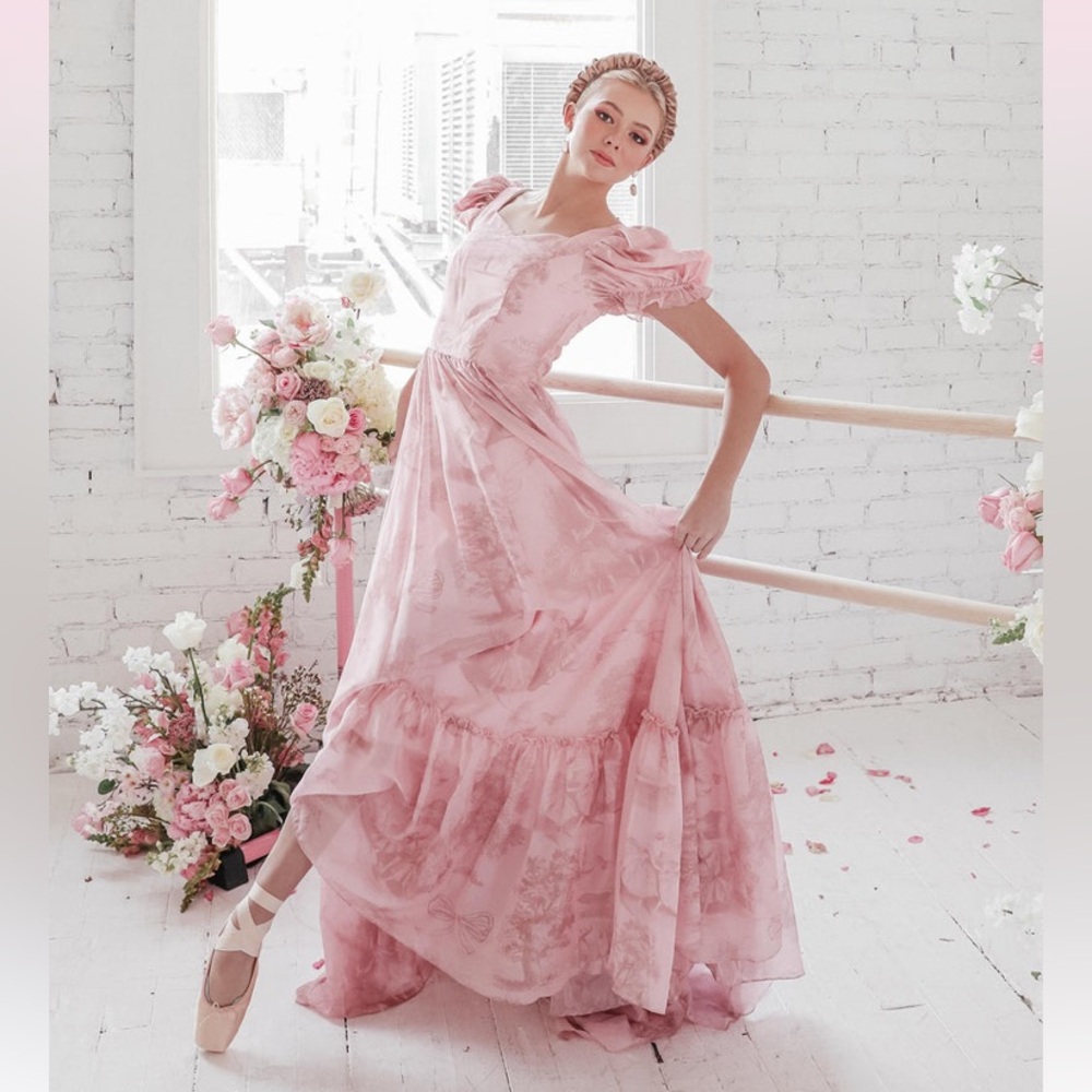 JessaKae RARE Ballerina Dress Silk Princess Gown with Ballerinas Pattern